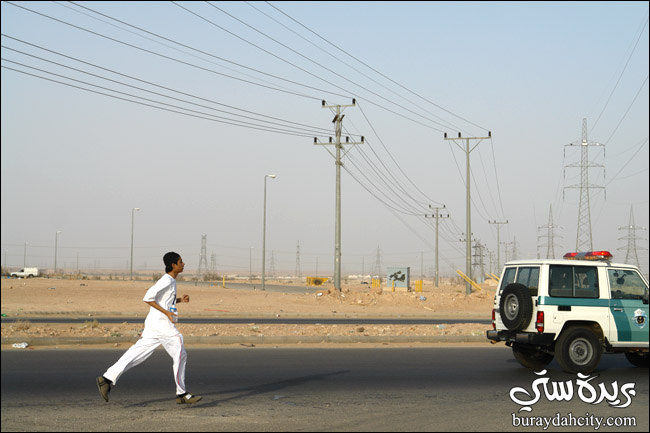 almshi8.jpg
